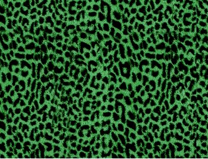 climate right Animal Print Leopard Print Multi Color Black