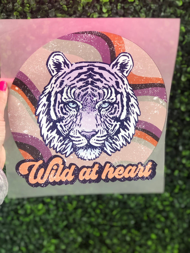 Wild at heart tiger