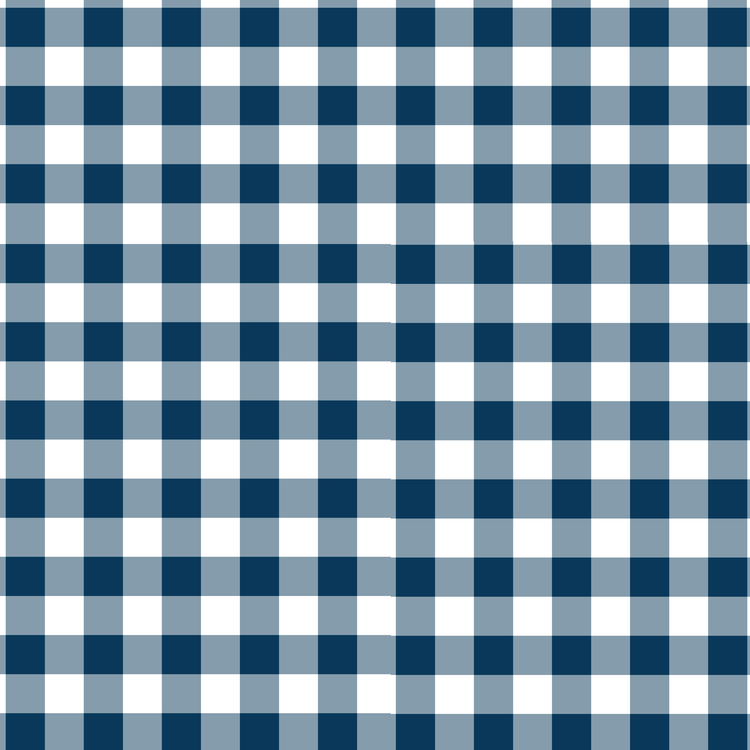 Navy plaid