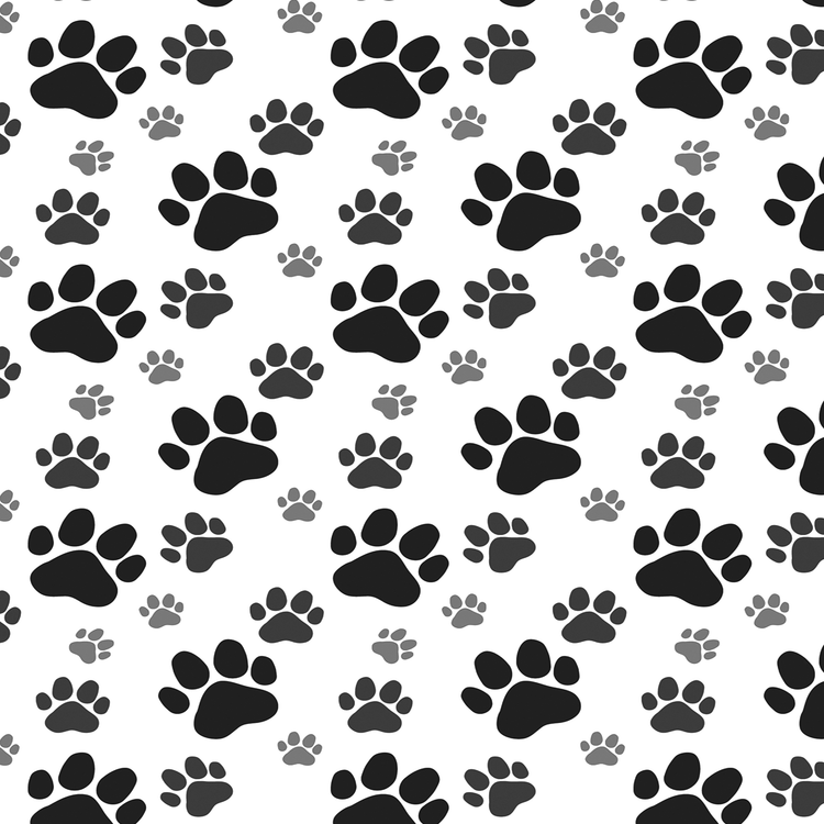 Paw Prints