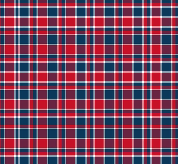 Red and navy plaid